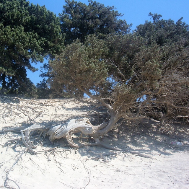 Il mondo di Creta