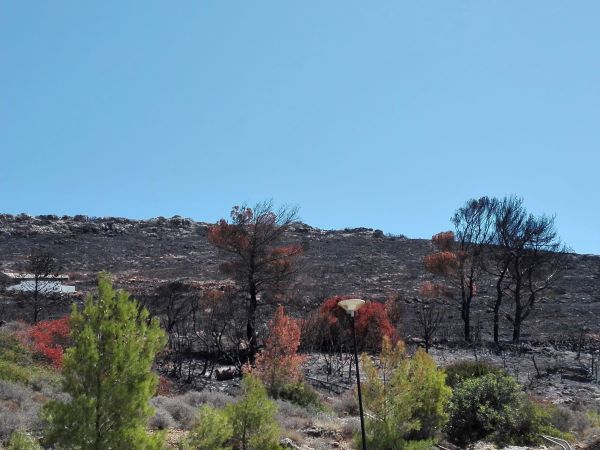 Incendi a Kythira